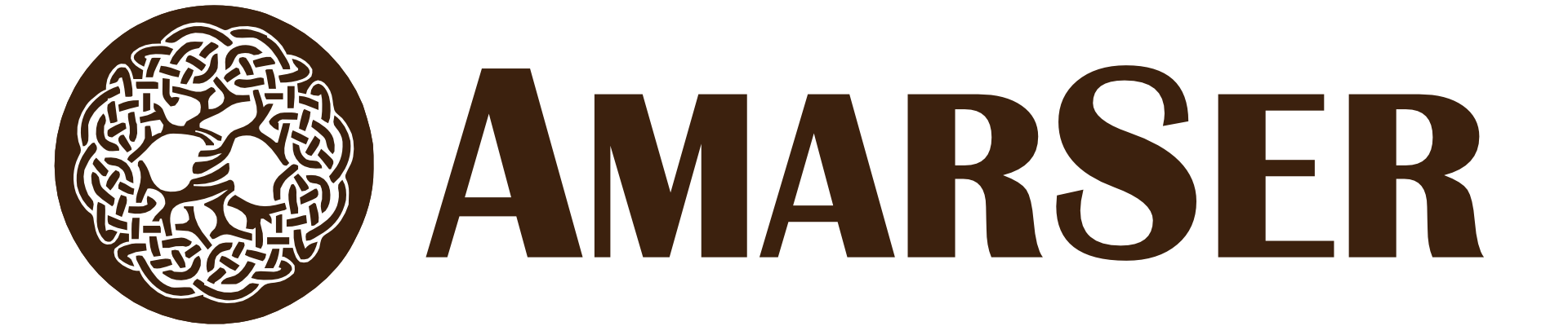 Amarser Logo
